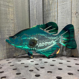 Painted Crappie Fish